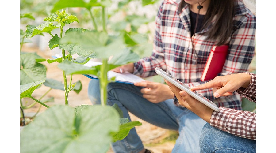 Foto de Claves de las ayudas para explotaciones agrarias de titularidad compartida en 2026