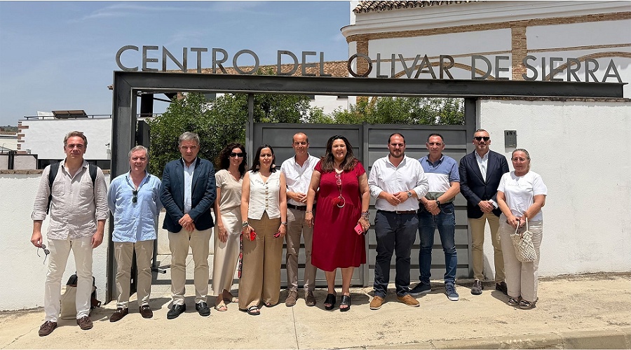 Foto de AEMO alerta de que m�s del 75% del olivar espa�ol produce ya por debajo de costes