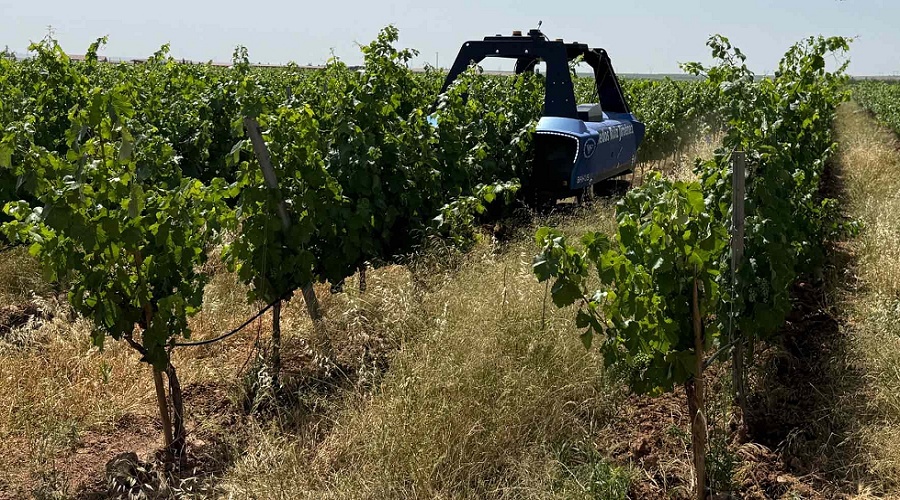 Foto de Vitibot abre camino a la viticultura rob�tica