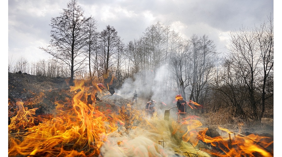 Foto de El sector primario atribuye el aumento del riesgo de incendios al abandono del campo