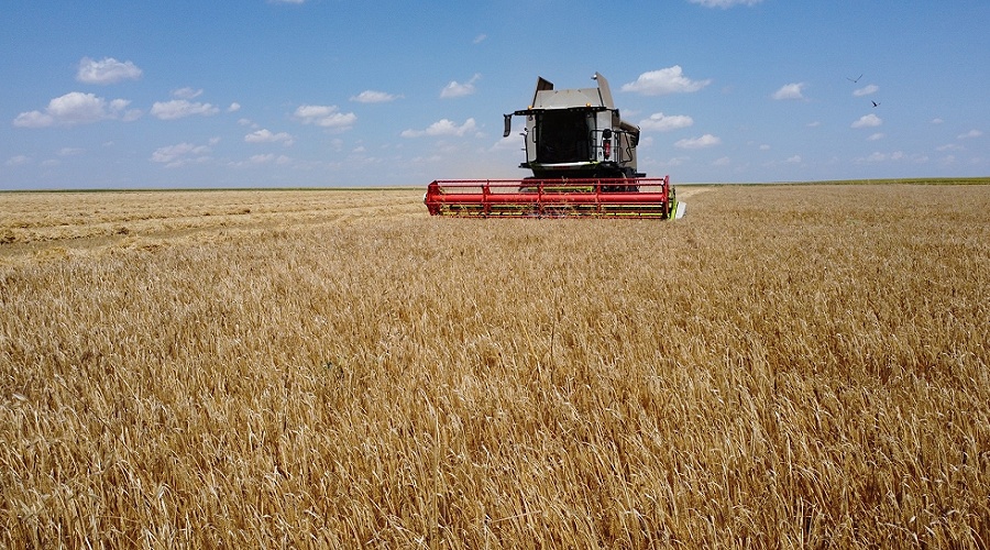Foto de Cooperativas Agro-alimentarias rebaja un 9,5% la previsi�n de cosecha de cereal en 2026