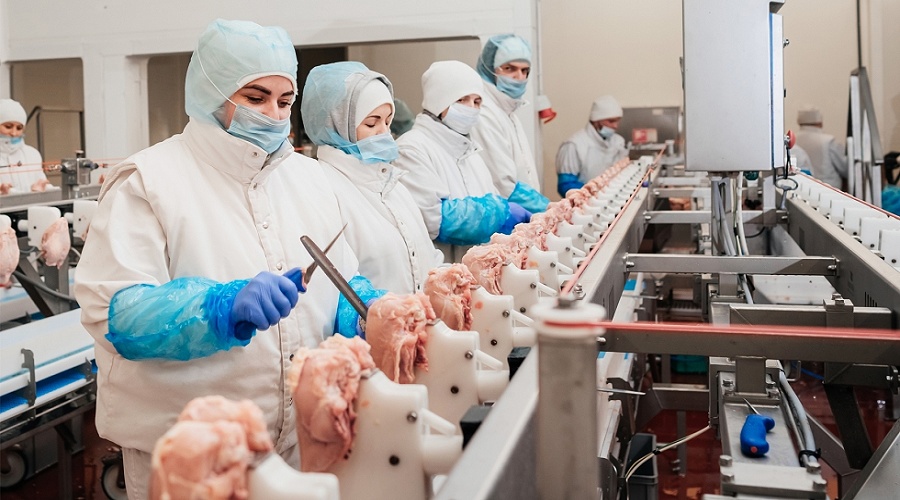 Foto de La industria c�rnica mundial crecer� un 12% hasta 2035 impulsada por la eficiencia, la avicultura y la digitalizaci�n