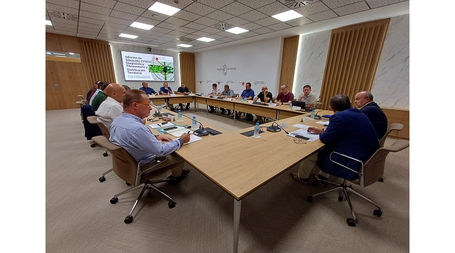 Foto de La Regi�n de Murcia reclama una estrategia nacional frente al virus de la clorosis nervial amarilla