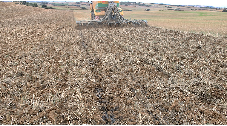 Foto de El endeudamiento del sector agrario ascendi� a 19.867 millones en el primer trimestre de 2026