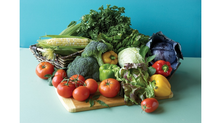 Foto de M�s de 600 expertos y entidades piden a la UE que la futura agenda 'Food 2040' acelere la transferencia tecnol�gica y la soberan�a alimentaria