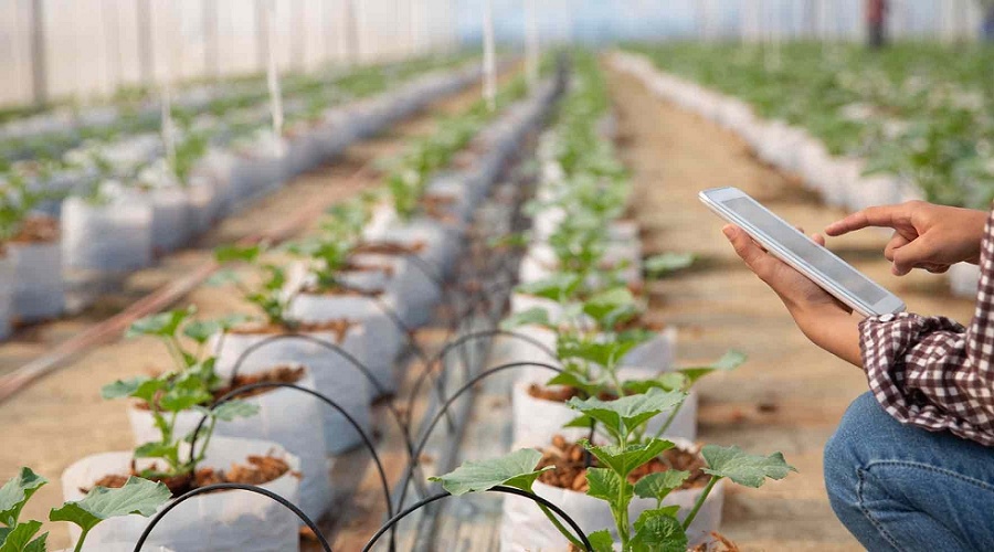 Foto de Agricultura de precisi�n 2.0: interoperabilidad entre maquinaria, datos y plataformas