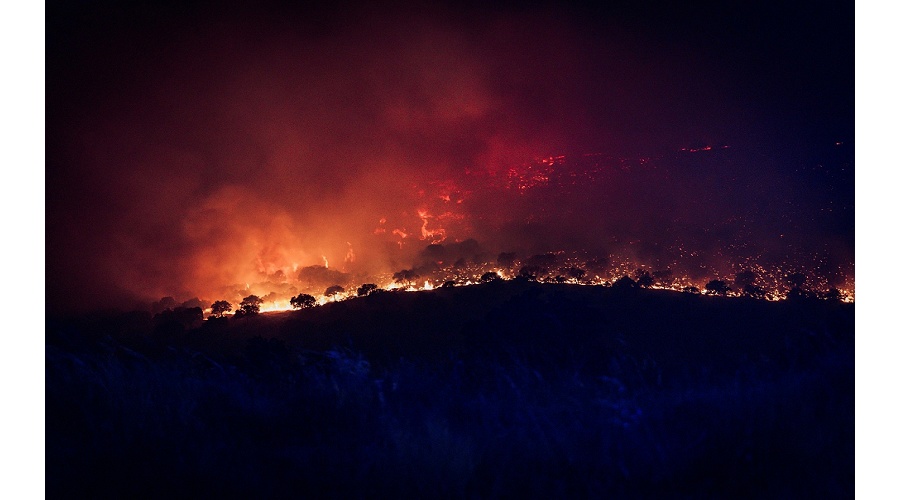 Foto de Los ingenieros agr�nomos advierten de que los incendios comprometer�n la actividad agr�cola y ganadera durante a�os