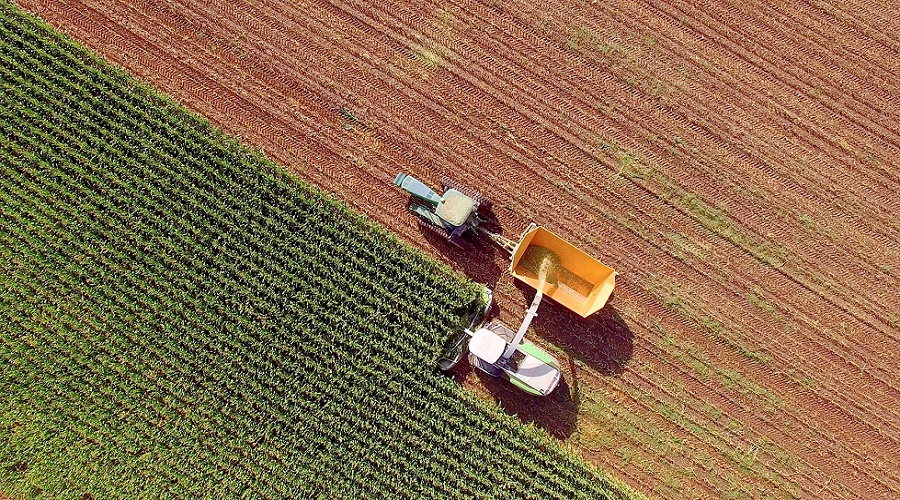 Foto de Los agricultores mayores de 65 a�os ya representan casi el 40% de los perceptores de la PAC en Espa�a
