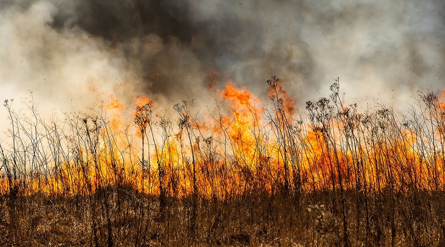 Foto de �C�mo afectan los incendios a la buena marcha de los negocios en las empresas?