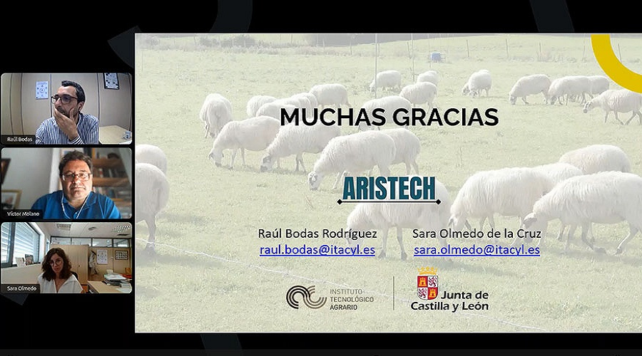 Foto de ARISTECH: hacia la automatizaci�n inteligente del orde�o en ovino de leche