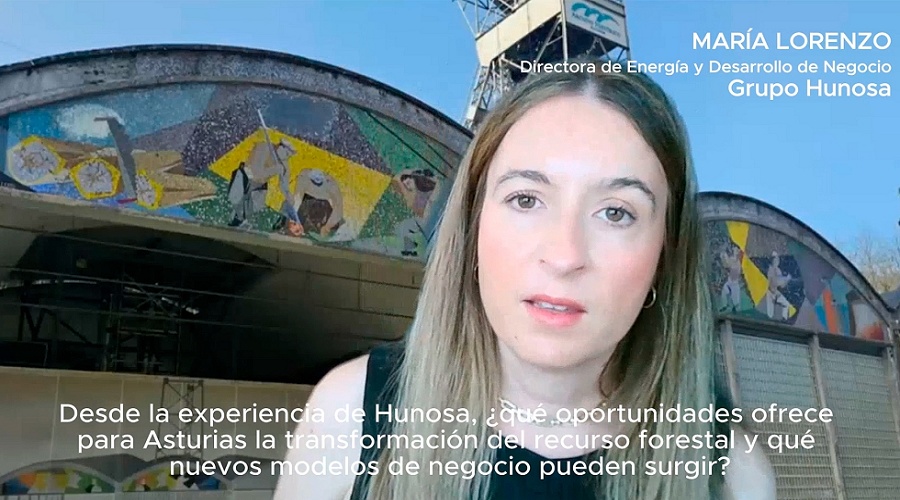 Foto de Mar�a Lorenzo, directora de Energ�a y Desarrollo de Negocio de Hunosa: �La biomasa puede ser un tractor para el sector forestal en Asturias�