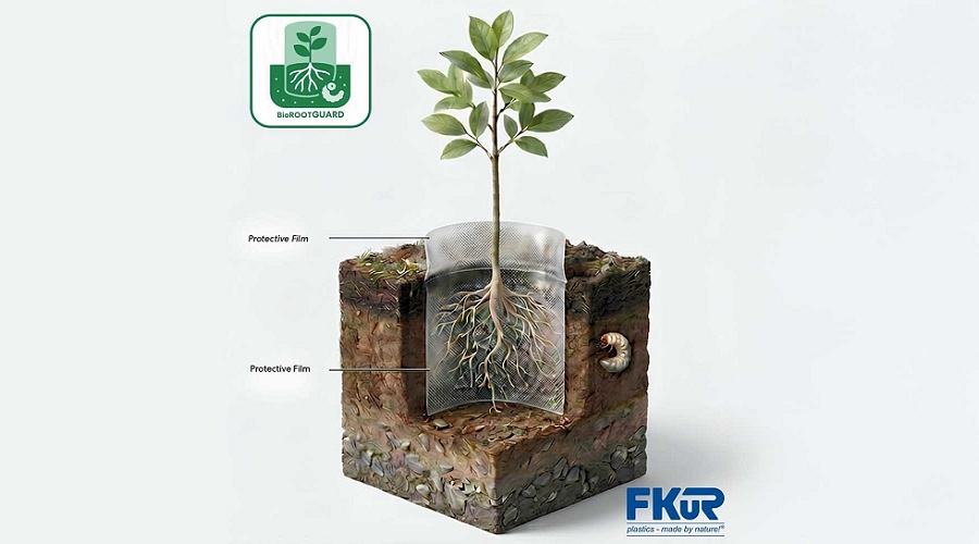 Foto de Desarrollan una pel�cula pl�stica biodegradable para proteger las ra�ces de �rboles j�venes