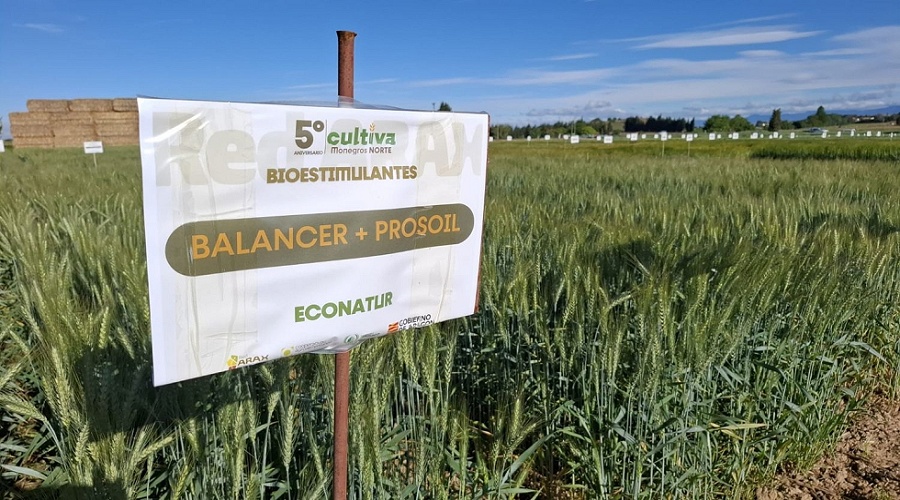 Foto de Reguladores del sistema planta-suelo-microbioma