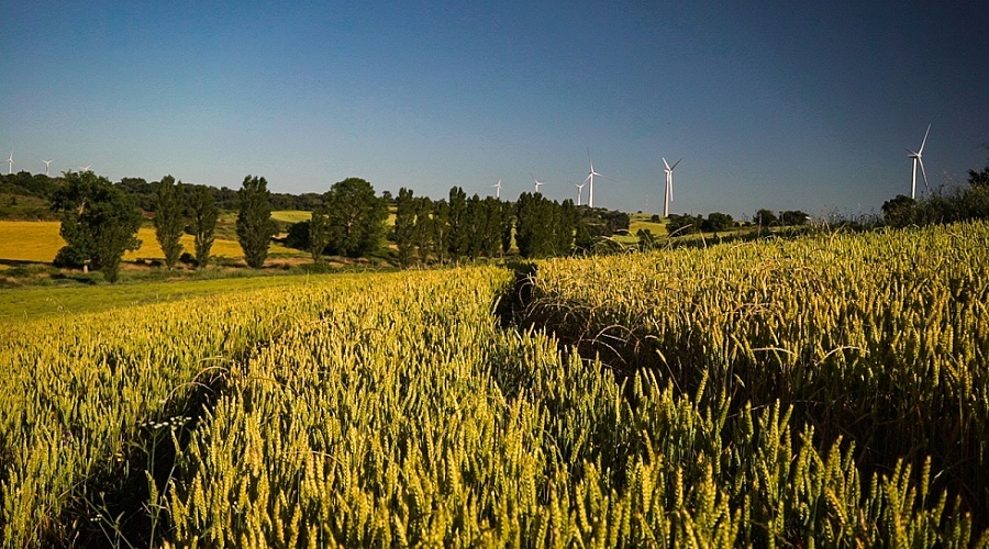 Foto de Pamplona (UPNA), martes 29 de septiembre: Navarra cita a los profesionales del sector para hablar del futuro del campo