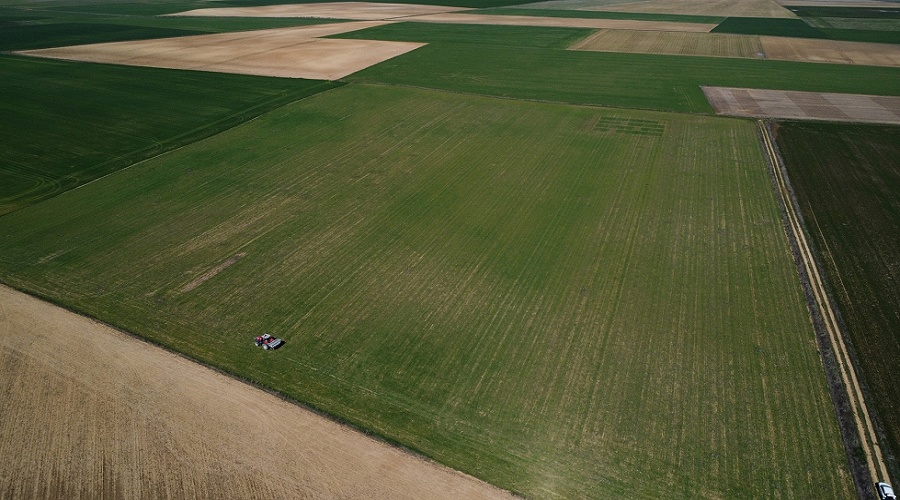 Foto de Ensayos On-Farm 5.0 para generar informaci�n real y mejorar la toma de decisiones en fertilizaci�n del cereal