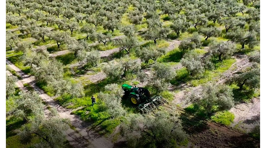 Foto de DIGISOST.OLI estudiar� c�mo aplicar la digitalizaci�n al olivar hasta 2030