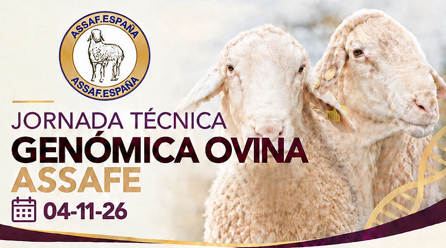 Foto de Assafe organiza una jornada t�cnica para analizar la gen�mica en la mejora ovina