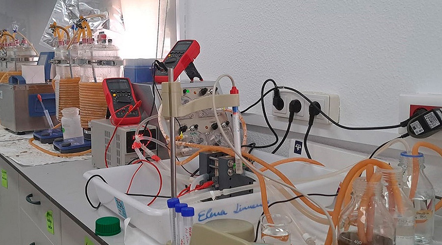 Foto de Investigadores andaluces recuperan con electricidad el 55% de los �cidos grasos del alperujo