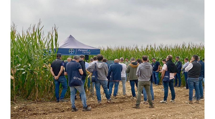 Foto de Bayer presenta la primera ForwardFarm de Espa�a dedicada al cultivo de ma�z