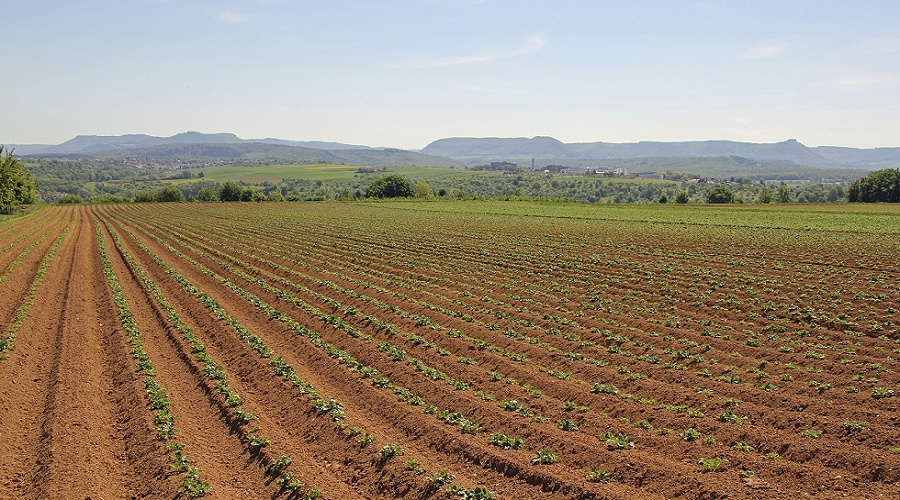 Foto de El Consejo de la UE aprueba su posici�n sobre la futura Pol�tica Agraria Com�n