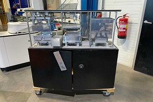 Exhibici�n de los dados van den Berg Die