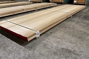 0/3430061