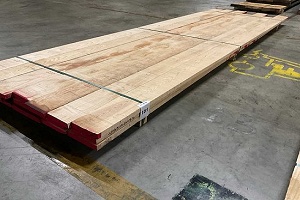 0/3430081