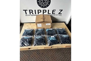 1600pcs - Amphenol-PV-100508-F solo conectores solares - (Menos)