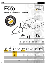 Dientes Sistema Cnico