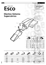 Dientes Sistema Supercnico