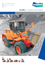 Cargadoras de ruedas de tamao medio, DL250