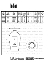 Frasco de cristal Indian