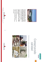 Contenedores, carritos y pallets isotrmicos de plstico