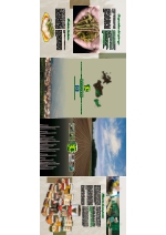 El especialista del esprrago