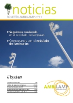 BOLETN AMBILAMP n11