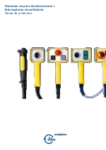 Sistemas de paro hombre muerto / Interruptores de validacin