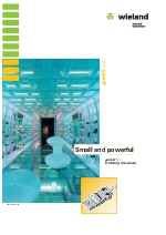 Wieland GESIS conexin elctrica para iluminacin 1