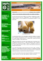 Humita-15 en viveros de palmitos en Urab (Colombia).