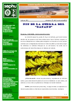 Fin de la guerra del Banano.