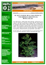 Cultivo legal de Coca Orgnica.