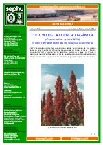 Cultivo de La Qunoa Orgnica 2.