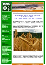 Cultivo de cereales.