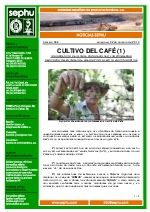 Cultivo de caf (I).