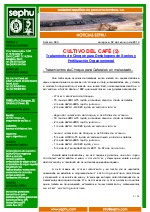 Cultivo del caf (II).