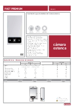 Calentador a gas instantneo de cmara estanca Fast Premium