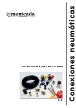 Conexiones neumticas