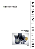 Fuelles de suspensin