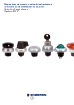 Dispositivos de mando e indicadores luminosos - Catlogo D-22R