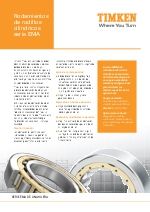 Rodamientos de rodillos cilndricos, serie Ema