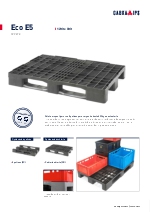 Palet europeo Eco E5